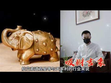 大象擺放位置|【風水大象擺放位置】風水佈局妙用！大象擺放位置指南，吸財旺。